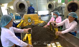 Hoàn thiện thể chế tạo động lực mới cho kinh tế tư nhân