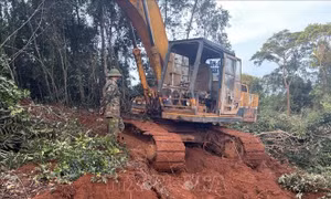 Đắk Nông: Bắt quả tang đối tượng dùng máy múc phá rừng
