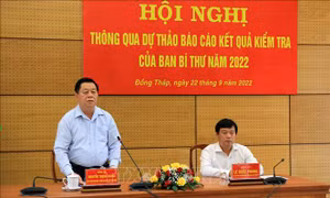 Đồng Tháp: Thực hiện nghiêm túc các nghị quyết, quy định, kết luận của Trung ương
