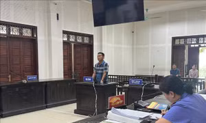 Lĩnh án 4 năm tù vì hủy hoại hơn 10 ha rừng tự nhiên