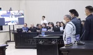 Bị cáo Nguyễn Thị Thanh Nhàn tiếp tục bị đề nghị mức án 12 - 13 năm tù về tội 'Đưa hối lộ'