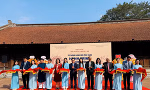Từ Thăng Long đến Phú Xuân – Hành trình gốm Việt kết nối hai kinh đô