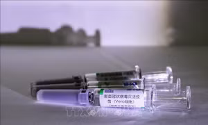 Trung Quốc cấp tín dụng 1 tỷ USD giúp Mexico, Mỹ Latinh tiếp cận vắc-xin phòng COVID-19