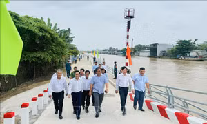 Cần Thơ đưa vào sử dụng kè chống sạt lở khẩn cấp kênh Cái Sắn