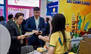 Đưa du lịch Ninh Bình, Thanh Hóa, Nghệ An lên một tầm cao mới