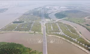 Đồng Nai vươn lên thành trung tâm công nghiệp hàng đầu cả nước