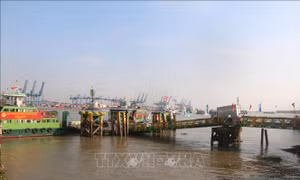 Đồng Nai triển khai 2 cầu chiến lược kết nối Thành phố Hồ Chí Minh