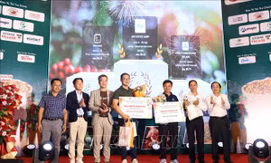 Công bố và trao giải cuộc thi cà phê đặc sản Việt Nam 
