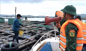 Lực lượng biên phòng Đắk Lắk hỗ trợ người dân phòng chống bão số 13