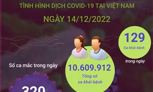 Ngày 14/12: Có 320 ca mắc mới COVID-19, 129 F0 khỏi bệnh