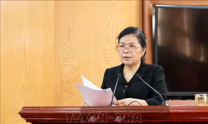 Lai Châu thông qua nghị quyết phát triển cây sâm thành sản phẩm thương hiệu quốc gia
