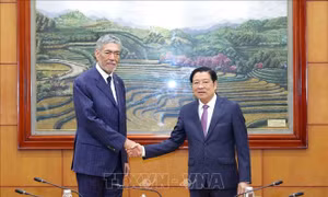 Trưởng ban Nội chính Trung ương tiếp Tổng Bí thư Đảng Phong trào cánh tả thống nhất Cộng hòa Dominica