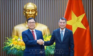 Thủ tướng tiếp Đại sứ Hàn Quốc Choi Young Sam đến chào từ biệt