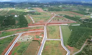 Lâm Đồng: Đất nông nghiệp tại khu vực đô thị tối thiểu 500 m2 mới được tách thửa