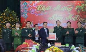 Bộ trưởng Bộ Quốc phòng kiểm tra tình hình thực hiện nhiệm vụ quân sự và chúc Tết tại Thanh Hóa