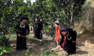 Người 25 năm hết mình với công tác y tế và dân số thôn bản