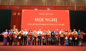 Bắc Kạn bổ nhiệm, điều động, luân chuyển, tiếp nhận nhiều cán bộ chủ chốt