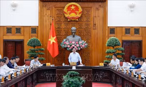 Thủ tướng chủ trì họp Thường trực Chính phủ để thảo luận về một số luật