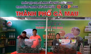 Xây dựng thương hiệu cua Cà Mau - Bài cuối: Tạo đà phát triển