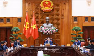 Thủ tướng: Các địa phương, nhà thầu phải chủ động hơn nữa trong xây dựng cao tốc Châu Đốc - Cần Thơ - Sóc Trăng