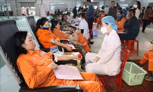 Lan tỏa tinh thần hiến máu tình nguyện từ 'Chủ nhật Đỏ'