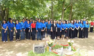 Rộn ràng mùa du lịch về nguồn