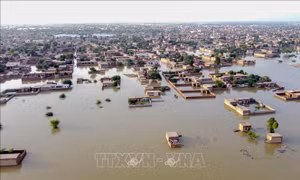 Mỹ viện trợ thêm 30 triệu USD hỗ trợ Pakistan phục hồi sau thảm họa thiên tai lịch sử