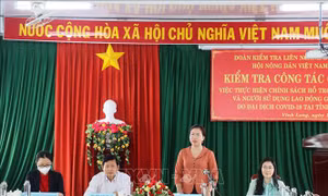 Vĩnh Long: Tiếp tục giám sát việc thực hiện chính sách hỗ trợ người lao động gặp khó khăn do dịch COVID-19
