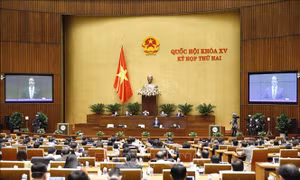 Cử tri Điện Biên đề nghị Nhà nước quan tâm đầu tư cho giáo dục miền núi