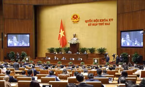 Bức tranh kinh tế - xã hội có gam màu sáng chủ đạo 