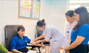 Ngày hội hiến máu tình nguyện: Quảng Trị tiếp nhận 159 đơn vị máu đạt tiêu chuẩn