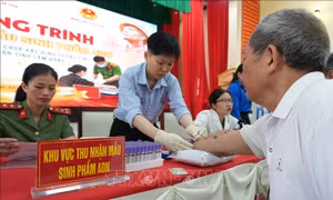 Thắp lên hy vọng cho hàng ngàn thân nhân liệt sĩ