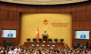 Kỳ họp không thường lệ thứ Nhất, Quốc hội khóa XVI khai mạc ngày 3/8