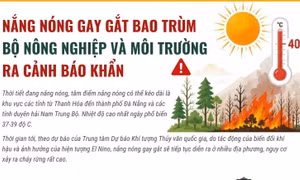 Cảnh báo khẩn về cháy rừng khi nắng nóng gay gắt 