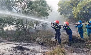 Quảng Trị: Cháy rừng tại giáp ranh hai xã Quảng Ninh và Ninh Châu
