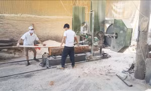 Mở rộng thị trường cho sản phẩm mộc truyền thống