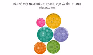 Dân số Việt Nam phân theo khu vực và tỉnh thành