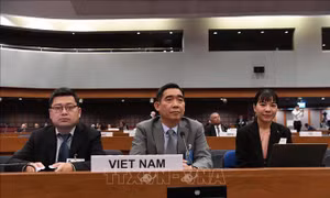 Khóa họp thứ 82 của UNESCAP: Việt Nam xây dựng chiến lược phát triển lấy con người làm trung tâm