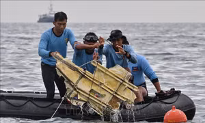 Phát hiện trục trặc ở hệ thống ga tự động của động cơ máy bay rơi ở Indonesia