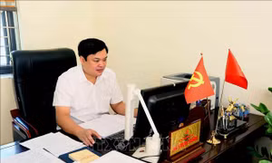 Đề xuất giải pháp phát triển bền vững, chuyển đổi sinh kế, chống tái nghèo