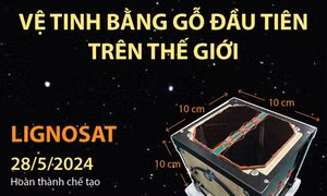 Vệ tinh bằng gỗ đầu tiên trên thế giới