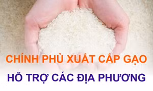 Xuất cấp gạo cho 2 địa phương dịp giáp hạt đầu năm 2024