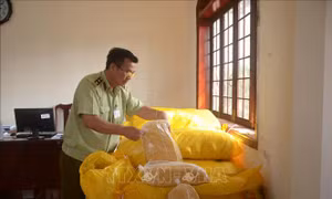 Tạm giữ hơn 1 tấn ruốc thịt gà không rõ nguồn gốc