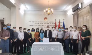 Nghĩa tình cộng đồng người Việt tại Ai Cập hướng về đồng bào miền Trung