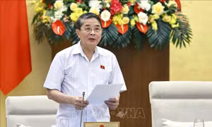 Thận trọng khi mở rộng đối tượng là 'cá nhân' tham gia hoạt động đầu tư PPP
