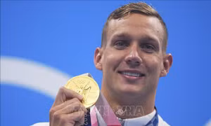 Chiến tích của 'kình ngư' Caeleb Dressel giúp Mỹ thống trị môn bơi 