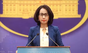 Việt Nam kiên quyết phản đối mọi hoạt động của nước ngoài đá Hải Sâm và đảo Ba Ba