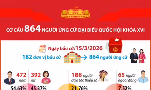 Thống kê cơ cấu 864 người ứng cử Đại biểu Quốc hội khóa XVI