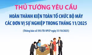 Thủ tướng yêu cầu kiện toàn tổ chức bộ máy các đơn vị sự nghiệp trong tháng 11/2025