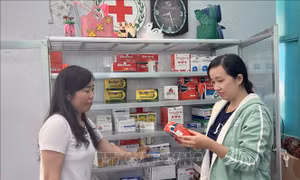 Ninh Thuận: Tăng cường kiểm tra, giám sát vệ sinh y tế học đường